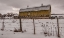 Picture of OLD YELLER