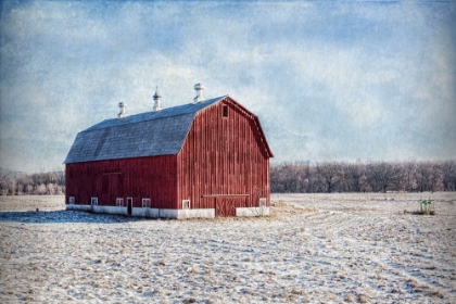 Picture of MORNING ON THE FARM