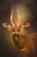 Picture of THE WILD STAR