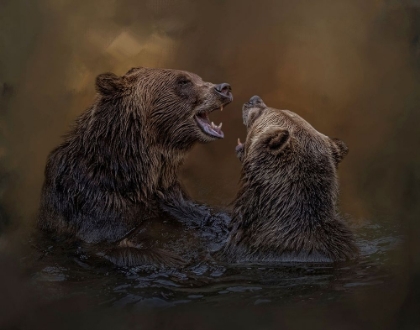 Picture of GRIZZLIES AT PLAY