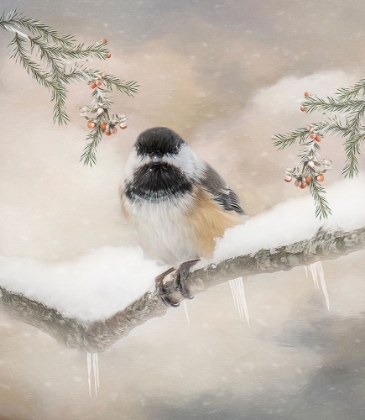 Picture of CHILLY CHICKADEE