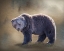 Picture of GRIZZLY BEAR BOAR