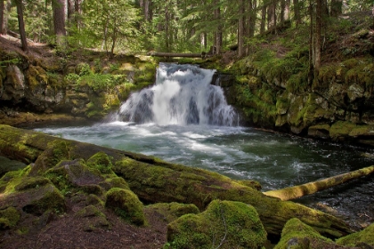 Picture of WHITEHORSE FALLS