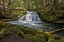 Picture of WHITEHORSE FALLS