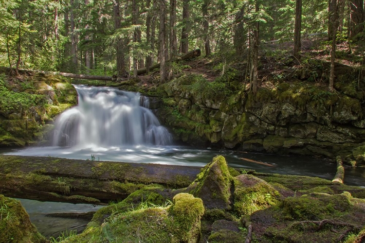 Picture of WHITEHORSE FALLS