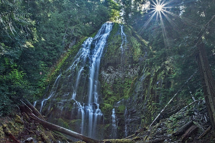 Picture of LOWER PROXY FALLS