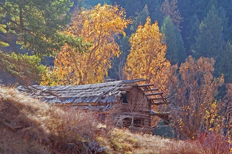 Picture of NORTH FORK CABIN
