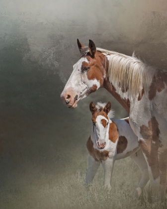 Picture of CHINOOK AND HER FOAL
