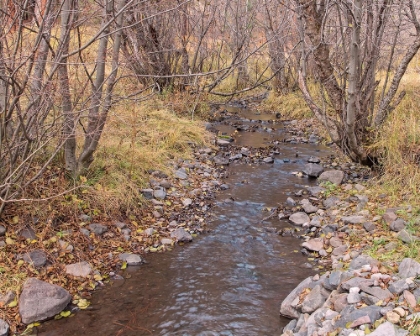 Picture of OCHOCO CREEK