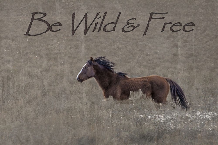 Picture of BE WILD AND FREE