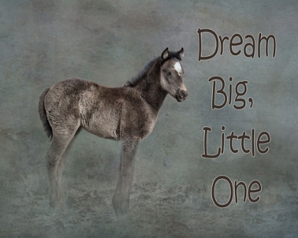 Picture of DREAM BIG