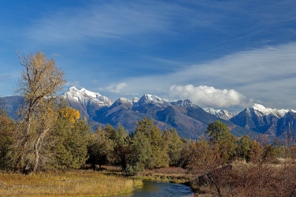 Picture of MISSION MOUNTAINS