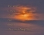 Picture of PAINTED HILLS BLUE MOON