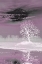 Picture of PINK VISION