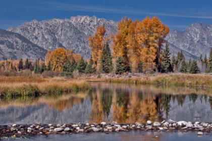 Picture of TETON AUTUMN