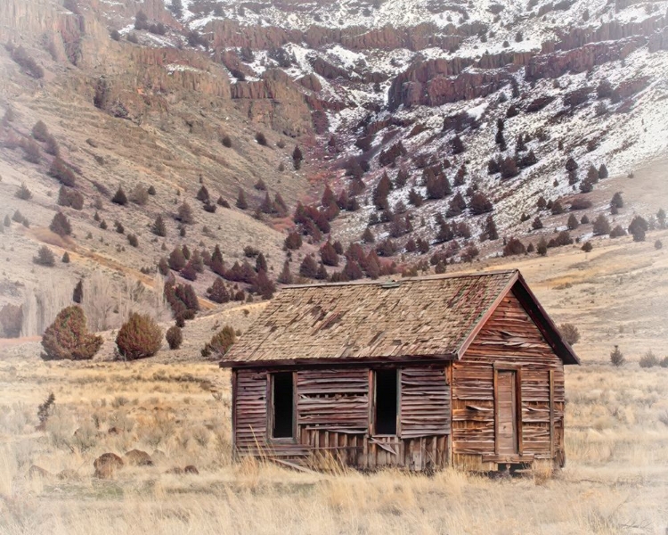 Picture of OLD LINE SHACK