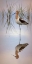 Picture of AMERICAN AVOCET