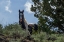 Picture of CASINO