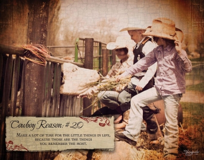 Picture of COWBOY REASON 20