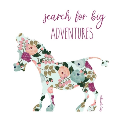 Picture of SEARCH FOR BIG ADVENTURES