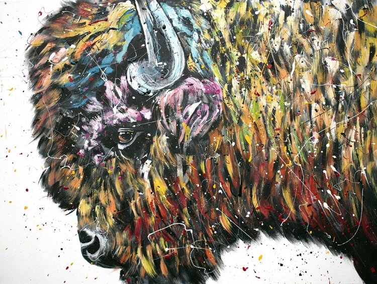 Picture of MAXIMUS BISON