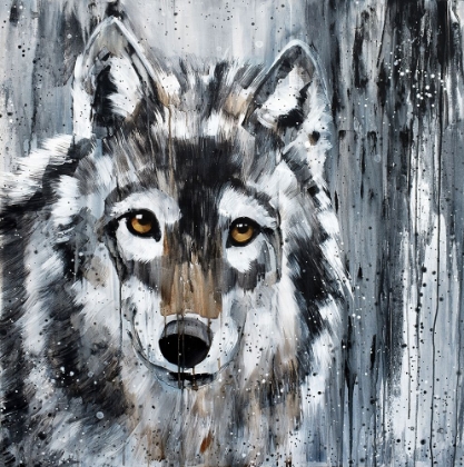 Picture of GOLDEN EYE WOLF