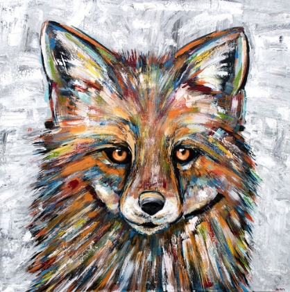 Picture of FOX OF MANY COLORS