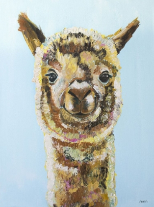 Picture of BROWN ALPACA