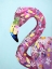 Picture of DAISY FLAMINGO