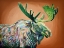 Picture of MOOSE NO. 2