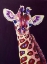 Picture of PURPLE GIRAFFE