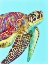 Picture of SEA TURTLE
