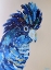 Picture of COCO THE COCKATOO