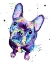 Picture of DARK FRENCHIE