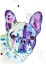 Picture of FRENCHIE NO. 2