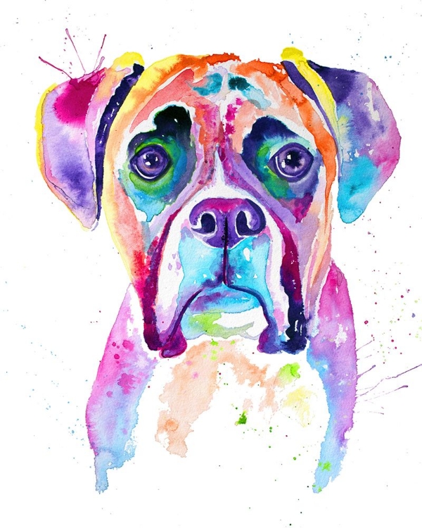 Picture of COLORFUL BOXER