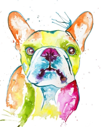 Picture of COLORFUL FRENCHIE