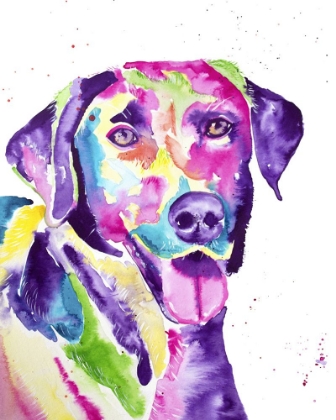 Picture of COLORFUL BLACK LAB