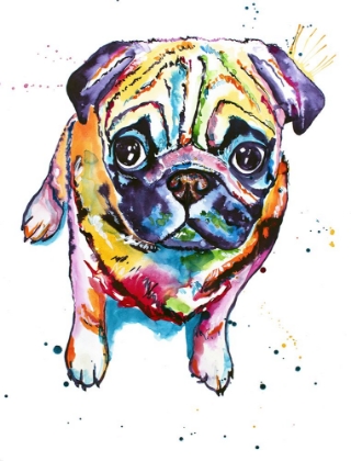 Picture of PUG II