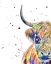 Picture of HIGHLAND COW