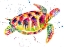 Picture of SEA TURTLE