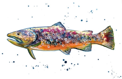 Picture of COLORFUL TROUT