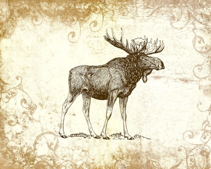 Picture of BROWN MOOSE