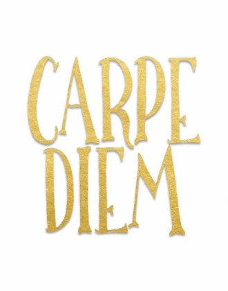 Picture of CARPE DIEM