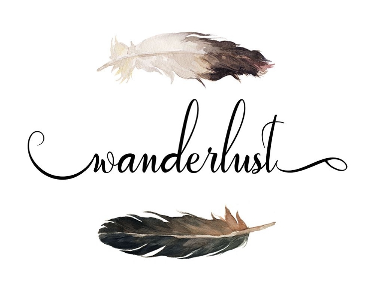 Picture of WANDERLUST FEATHERS