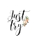 Picture of JUST TRY