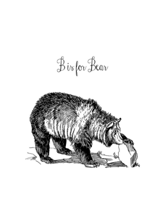 Picture of B IS FOR BEAR