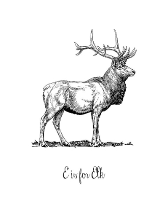 Picture of E IS FOR ELK