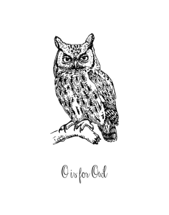 Picture of O IS FOR OWL