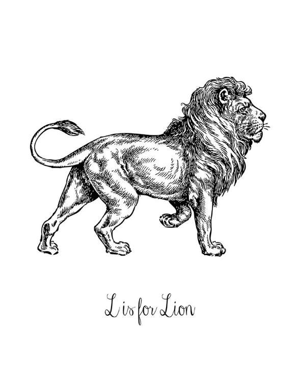 Picture of L IS FOR LION